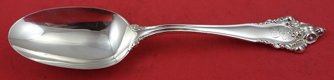 Serving Spoon 8 1/4